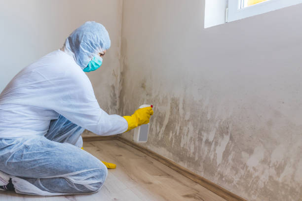 Commercial Mold Remediation assessment for commercial property in Downers Grove