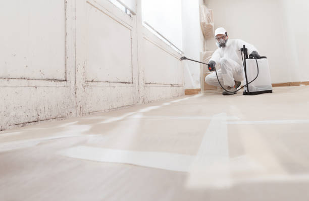 Post-remediation clearance in Downers Grove